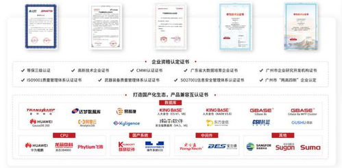 持續(xù)加強國產信創(chuàng)建設 思邁特軟件與SelectDB完成兼容互認證，夯實基礎軟件服務